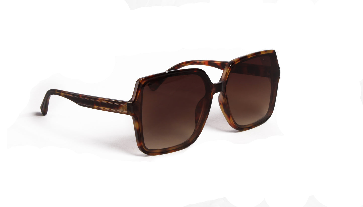 LOMPOC OVERSIZED SQUARE TORTOISE SUNGLASS WITH BROWN LENSES